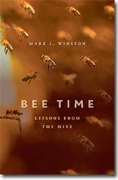 bee-time-cover