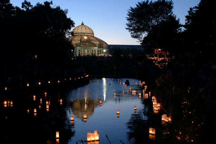 Japanese-Lantern-Lighting-Festival