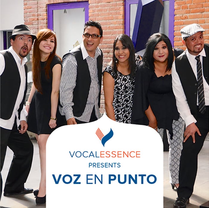 voz-en-punto