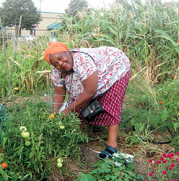 Sweet-Potato-Lady